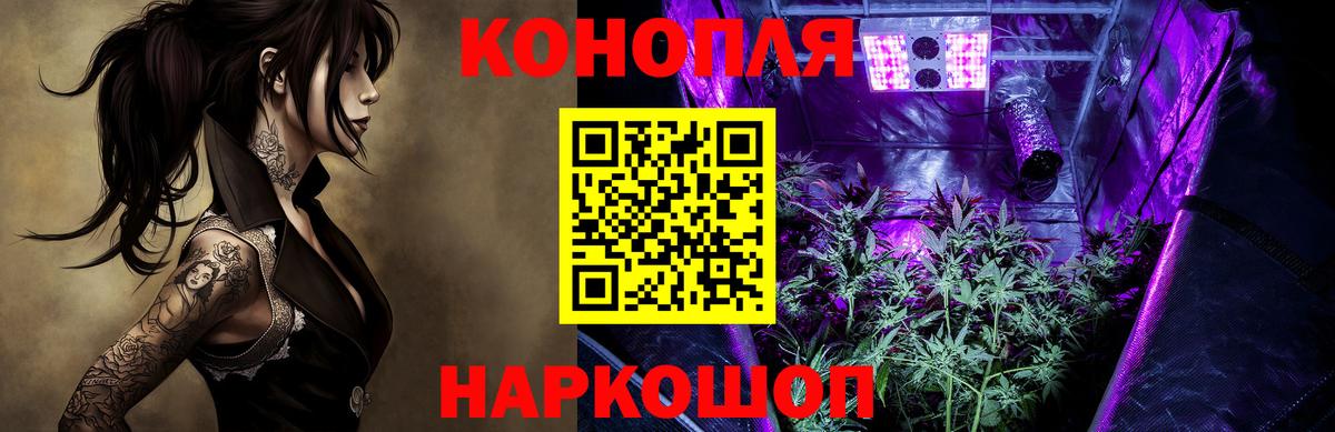 Бошки Шишки конопля  Шишки марихуана план  Вход с VPN  Мытищи 